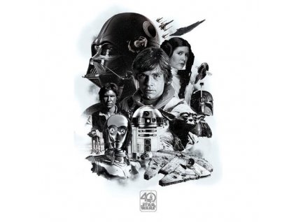 42499 star wars plakat 40th anniversary montage