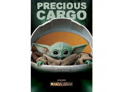 42520 star wars mandalorian plakat precious cargo