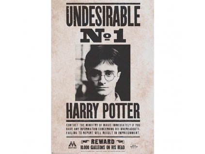 46567 harry potter plakat undesirable n 1