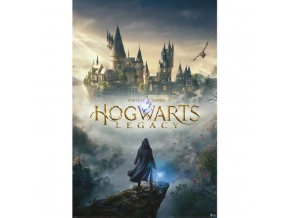 61700 plakat hogwarts legacy wizarding world universe