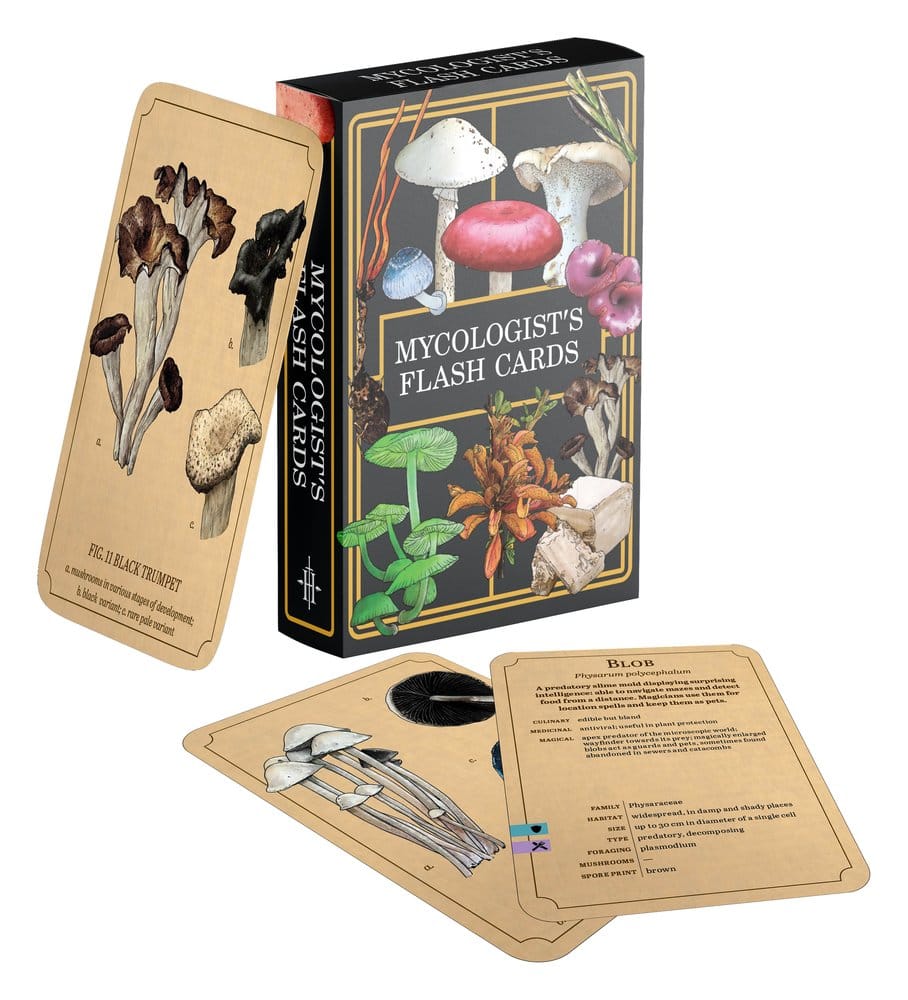 Renegade Originals: Mycologist's Primer Flash Cards *English Version*
