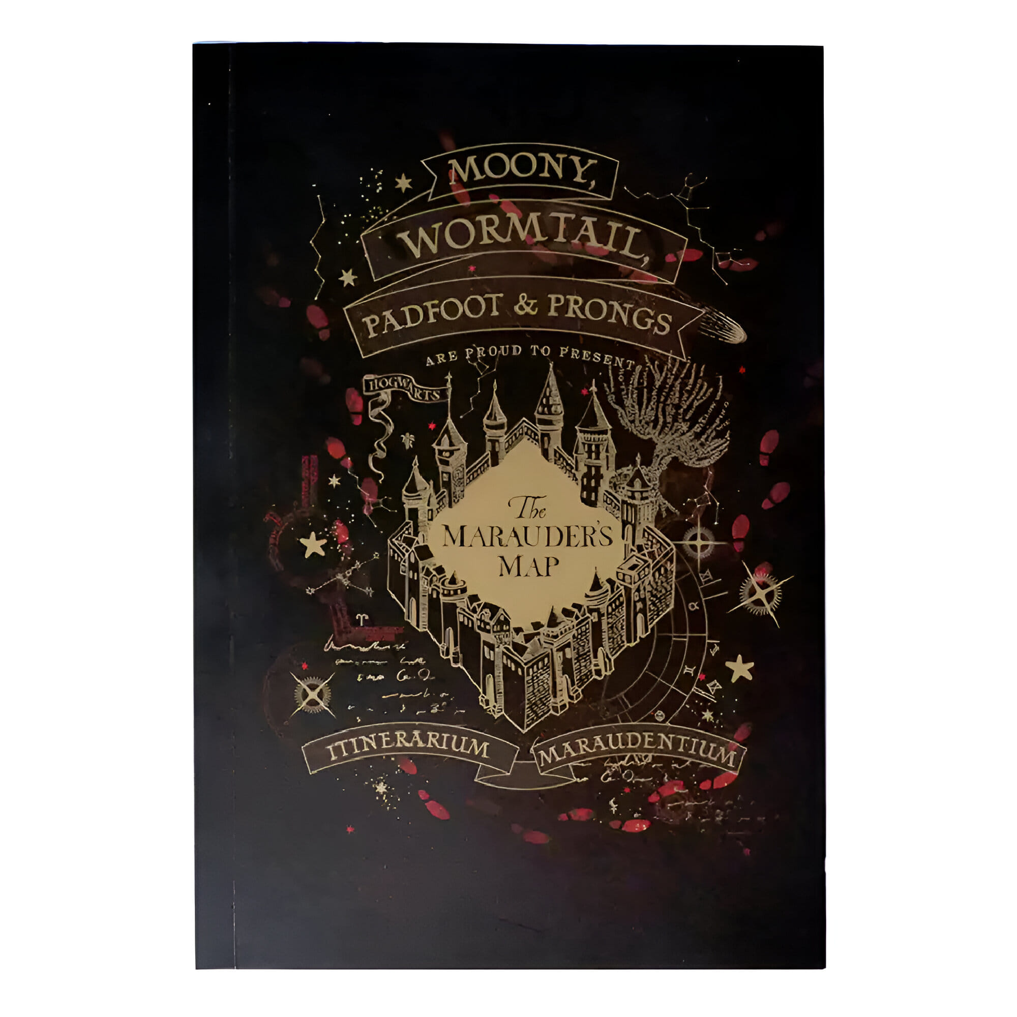 Moriarty Sešit Harry Potter - Pobertův plánek
