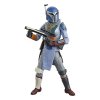 172902 3 star wars the mandalorian black series akcni figurky 2 pack mandalorian shriek hawk treneri 15 cm