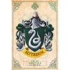 plakat harry potter zmijozel 618a869226ff6