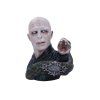 busta lord voldemort 64795a087211b