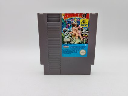 Adventure Island part II - PAL B (NES)