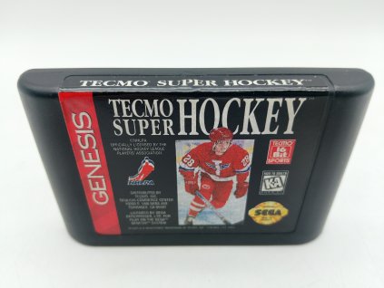 Tecmo Super Hockey (SG)