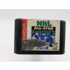 NHL All Star Hockey 95 (SG)