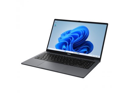 UMAX VisionBook 15WT Plus