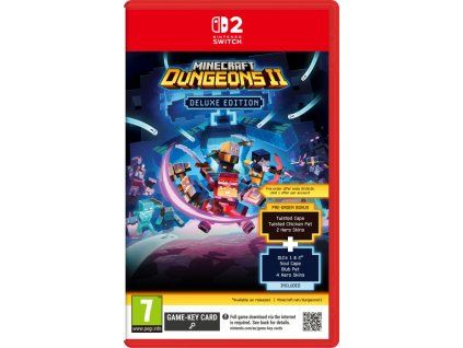 NS2 Minecraft Dungeons 2
