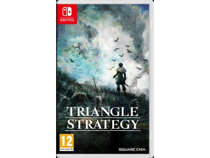 SWITCH TRIANGLE STRATEGY