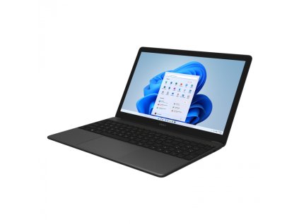 UMAX VisionBook N15R