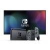 Nintendo Switch console with grey Joy-Con