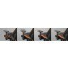 cougar herni zidle defensor f tkana latka cerna oranzova image1 big ies5483344