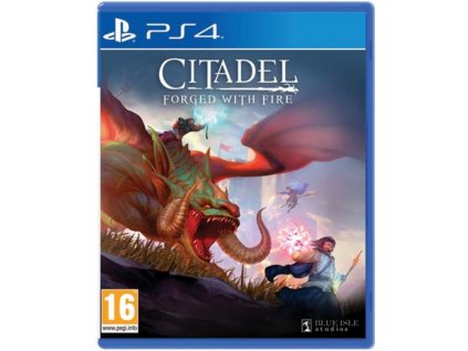 PS4 Citadel Forged with Fire