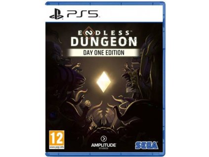 PS5 Endless Dungeon