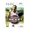 Wii Cricket ashes 2009
