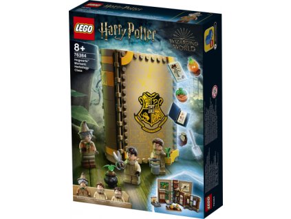 lego harry potter 76384