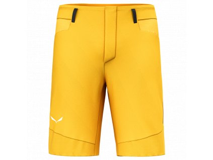 Pánské kraťasy Salewa AGNER DST SHORTS M 28556-2191