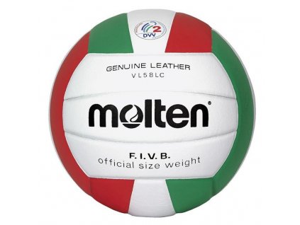 Volejbalový míč Molten VL58LC