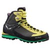 Boty Salewa MS Crow GTX 61328-0903