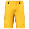 Pánské kraťasy Salewa AGNER DST SHORTS M 28556-1571