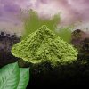 zeleny kratom prasek