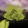 zluty kratom prasek