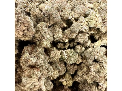 10g Premium indoor  Květy NANO10