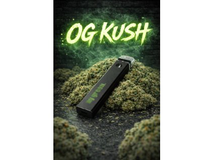 ChatGPT Image 31. 1. 2026 14 41 51