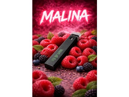 ChatGPT Image 31. 1. 2026 14 46 21