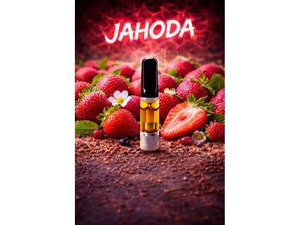 ChatGPT Image 31. 1. 2026 21 38 16