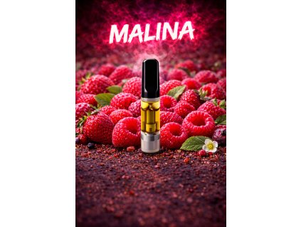 ChatGPT Image 31. 1. 2026 21 39 30