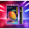 THC-X Mango EasyBar 1ml