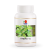 ANDRO G tablety x 350 MG (Balenie 30 tabliet)