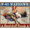 plechova cedule p 40 warhawk 40 cm x 32 cm