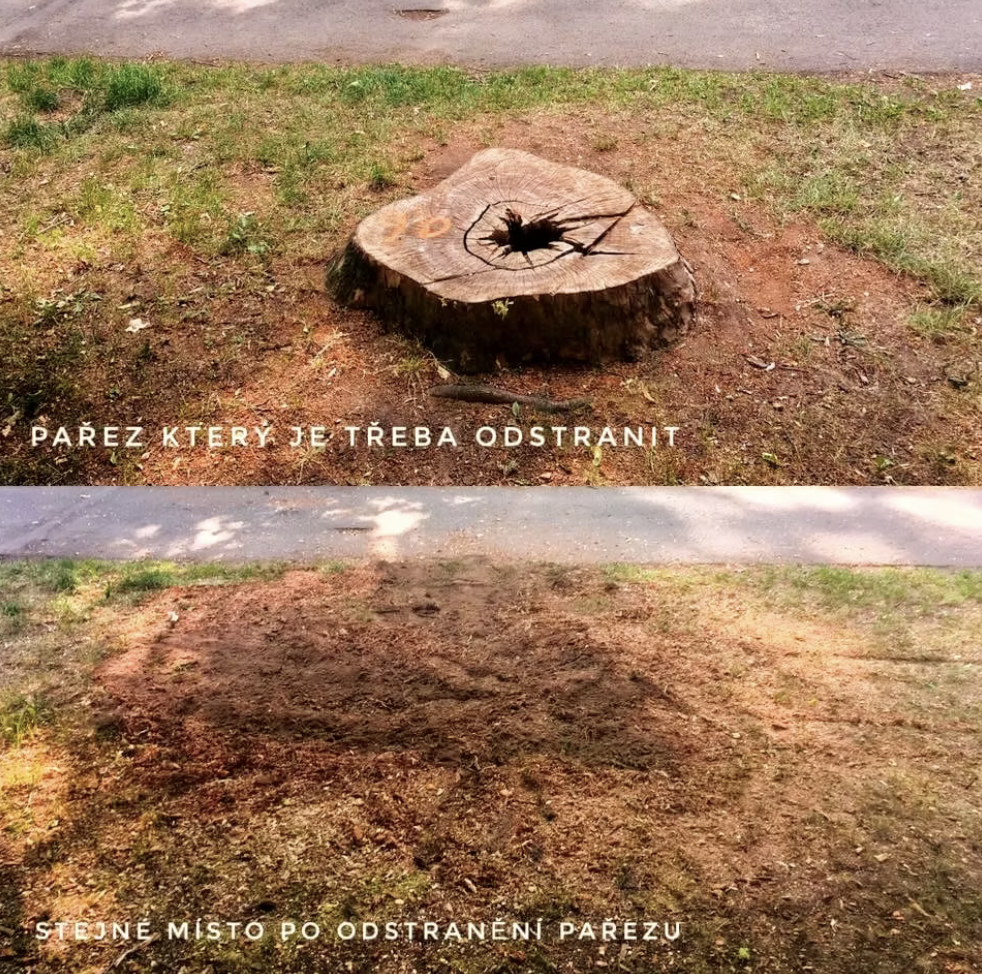 Frézování pařezů