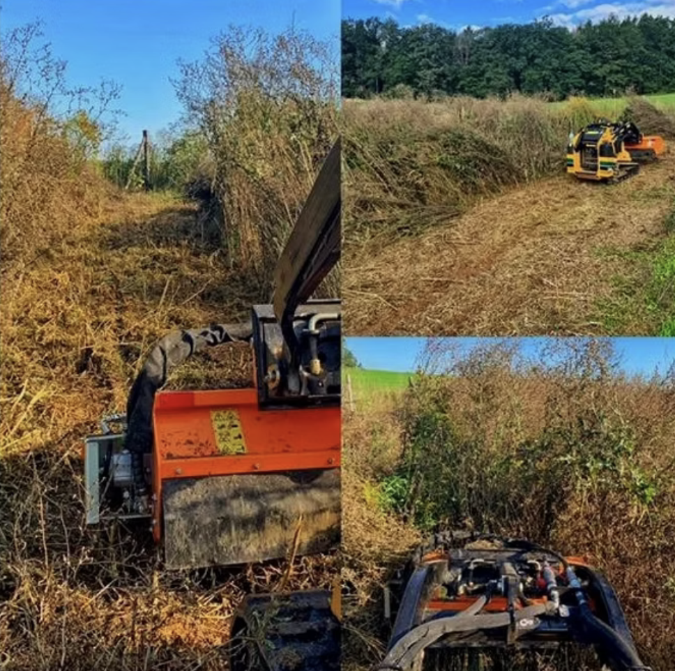 Likvidace náletů a přerostlé vegetace