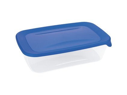 Jídelní box FRESH & GO 2L