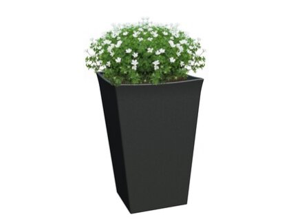 flora duo 2 jeden