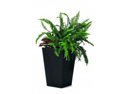 17192300 RATTAN STYLE PLANTER SMALL 3022 RGB