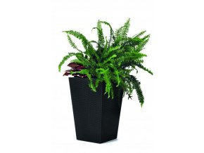 17192300 RATTAN STYLE PLANTER SMALL 3022 RGB