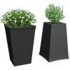 flora duo 2