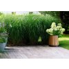 17213705 new 2025 deco conic planter 12262 rgb