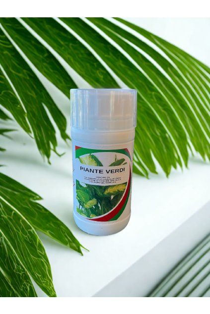 Untitled design (87)