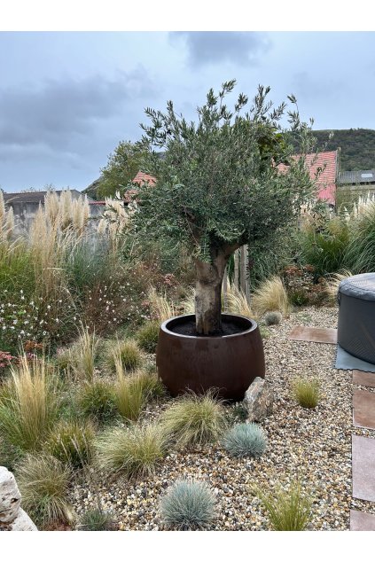 63075d9c bfb2 4eec 980c e7d203e5e07e