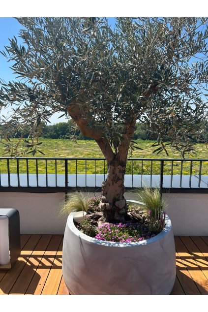 73424ccf b32c 45cd b6f6 71440974465a