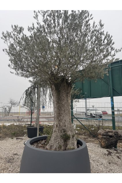 Kvetináč Titano 110 Antracite