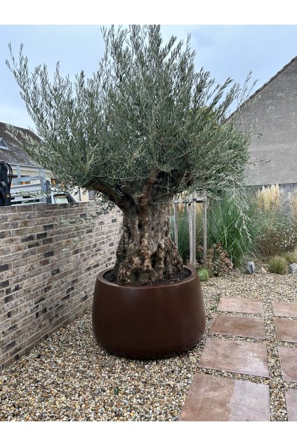 dc422129 7a8e 40ea b2a5 32c5caac123f