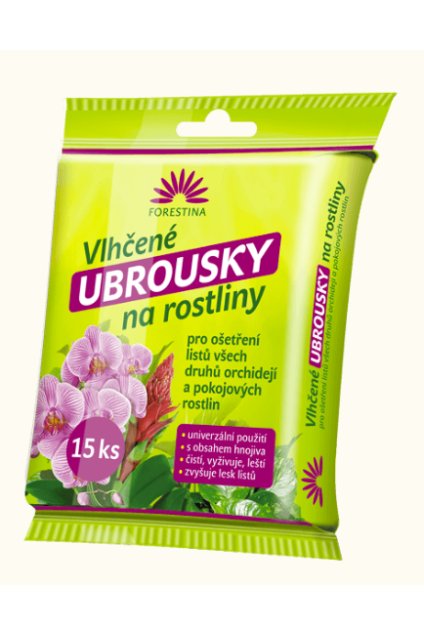 Snímka obrazovky 2026 02 13 150731